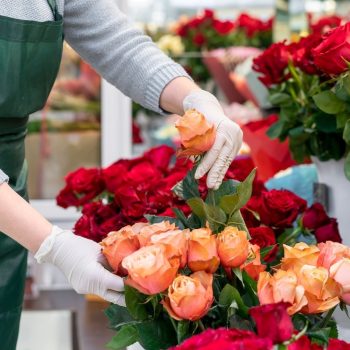 primer-plano-mujer-cuidando-flor primer-plano-mujer-cuidando-flor
